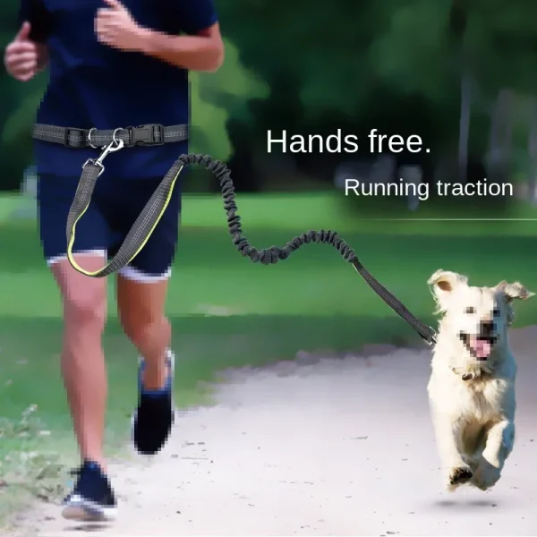 Dog leash Waist Belt Chest Strap