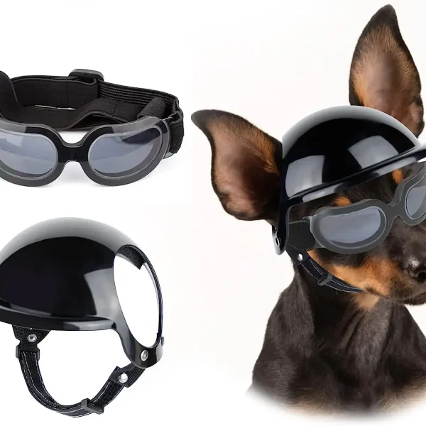 Helmet Sunglasses for Small Dogs