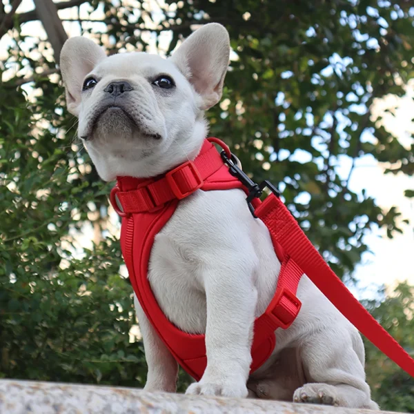 Breathable Lightweight Dog Harness