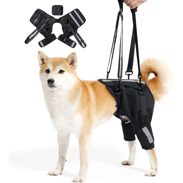 Dog Rear Leg Support Harness